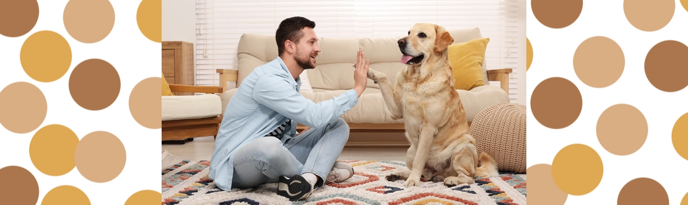 چگونه میتوانیم محیط خانه را برای حیوان خانگی خود امن و سرگرم کننده کنیم؟